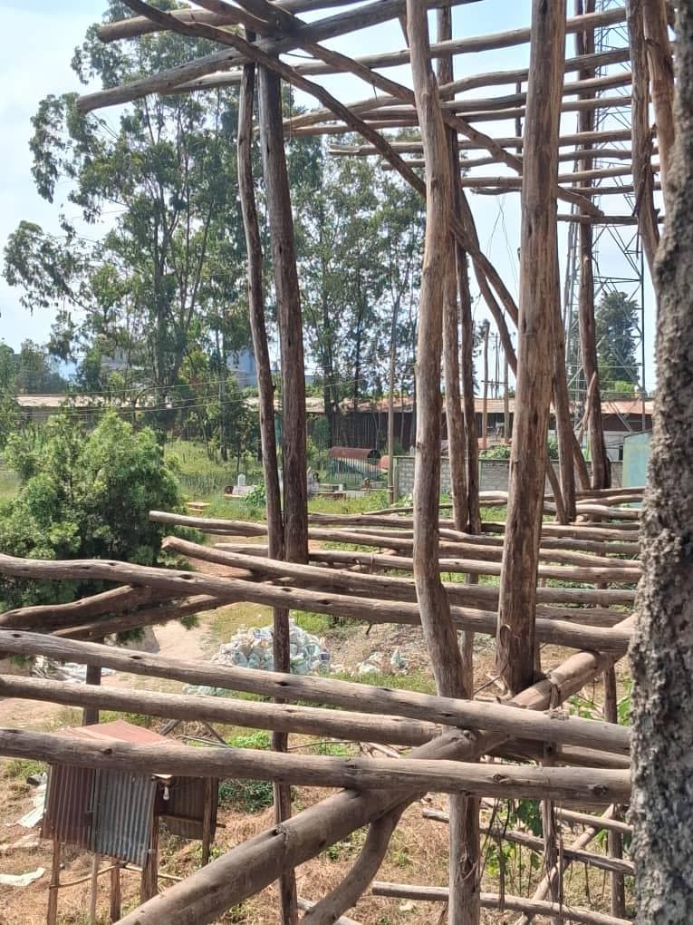 Adola hospital construction progress photo 13